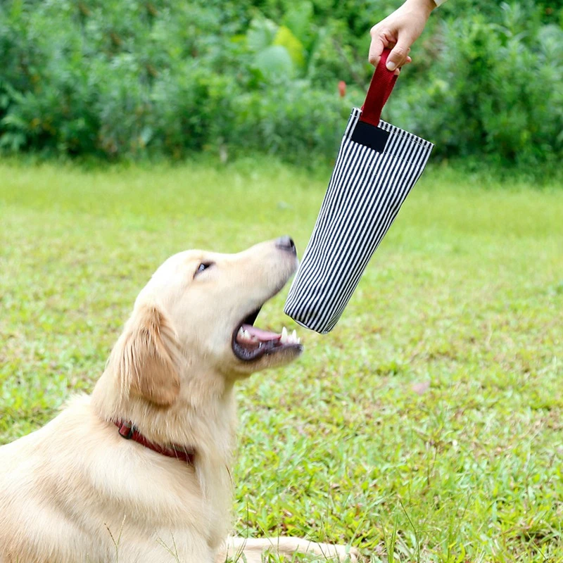 dog chewing plastic bottle