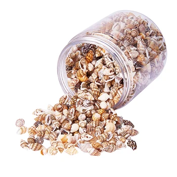 

Lots Mixed Sea Shells Assorted Natural Seashells Conch Crafts DIY Decoration for Arts & Crafts Project