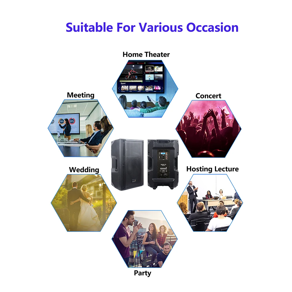 dsp ktv clubs bar dj stage audio speaker