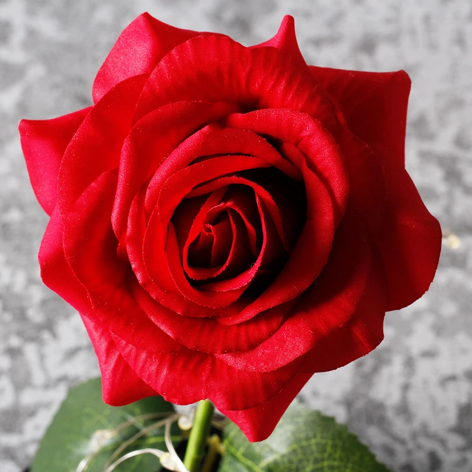 35.jpg_.webp 35.jpg_.webp