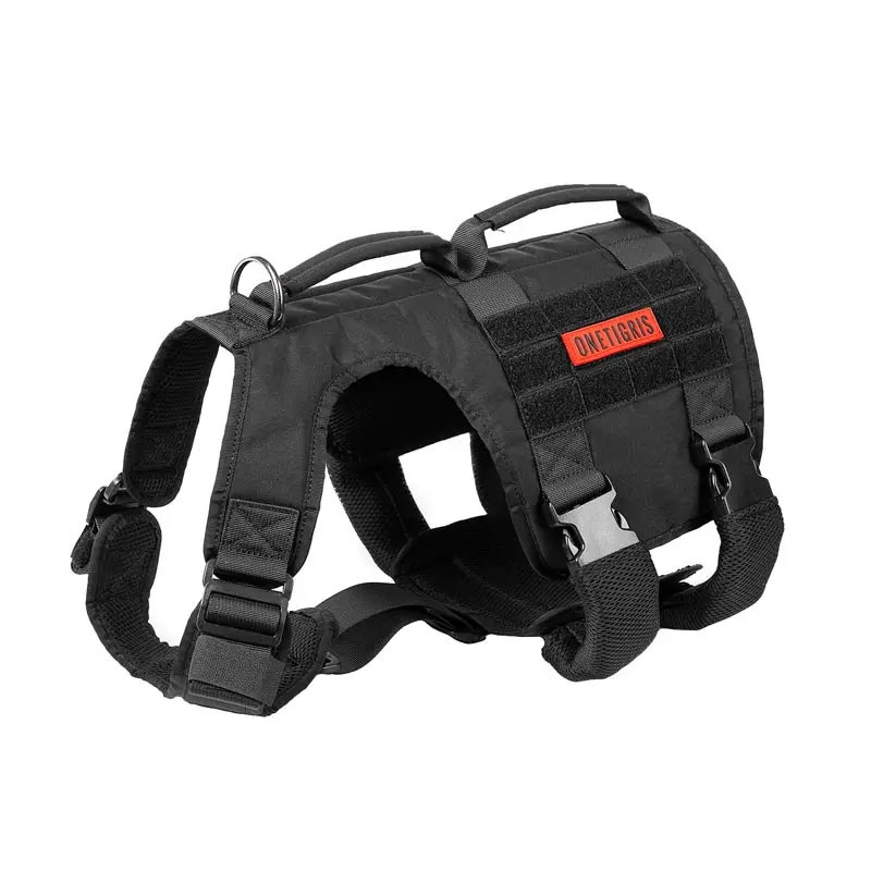 TG-GBX13-1-2