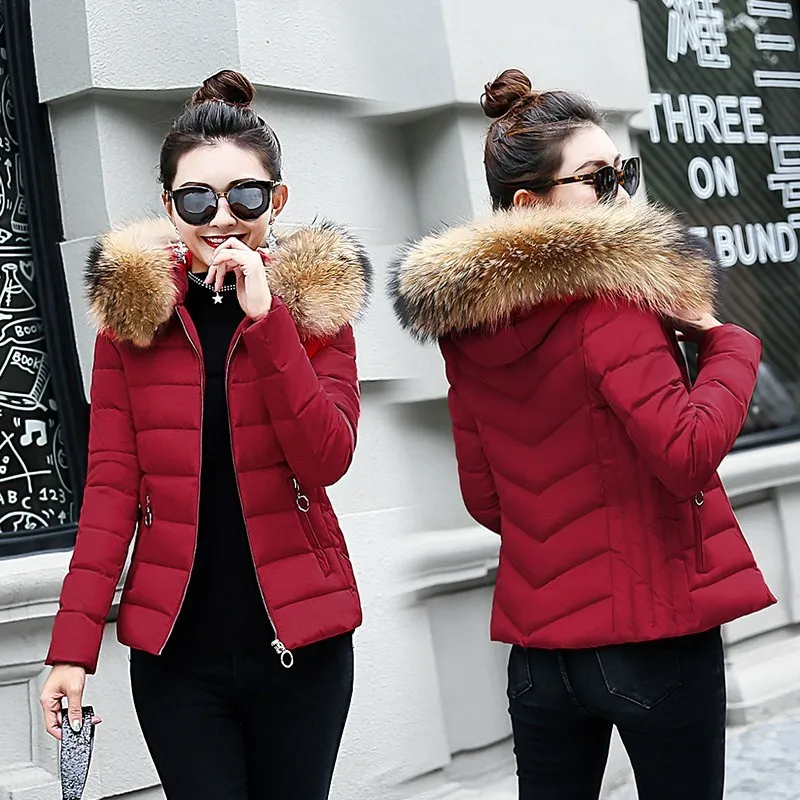 

Off Season Coat Women's Short 2018 Autumn And Winter New Style Slim Fit Small Cotton-Padded Jacket Cotton-padded Clothes Cotton