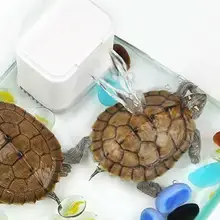 HobbyLane бесшумный 3 в 1 внутренний низкий уровень фильтр для воды для черепахи