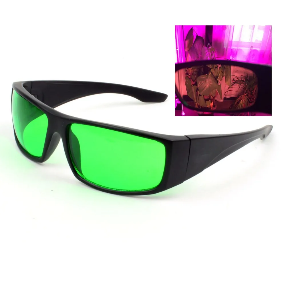 glasses (4)