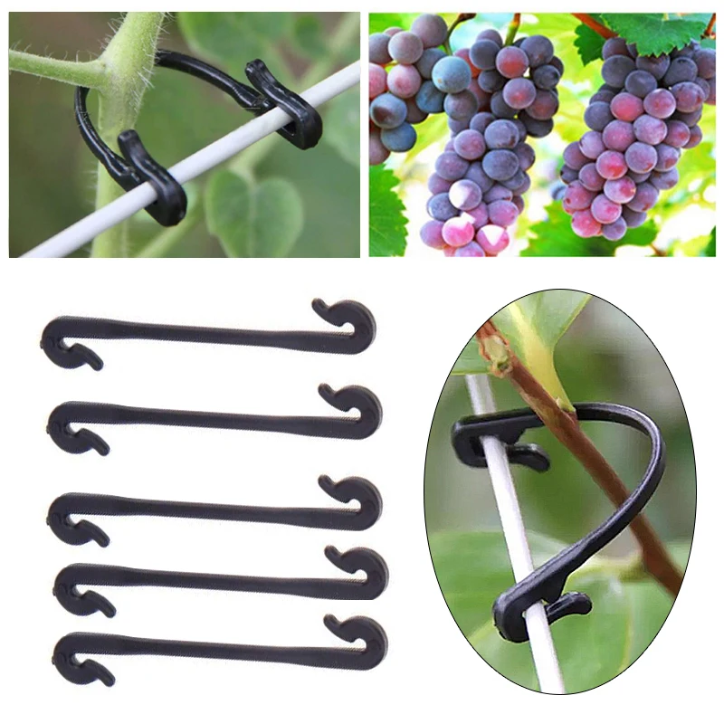 Plastic Plant Fixing Clips Tomato Support Clips Grape Rack Mesh Fasteners Gardening Agricultural