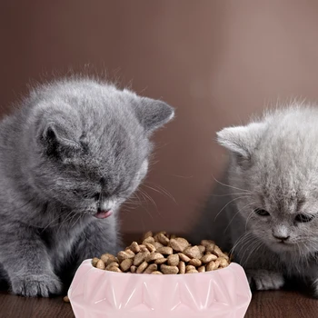 

Flower Pet Ceramic Bowl Feeding Dish Pet Dog Accessories Pet Feeder Bowl For Pet Dog Cat (Pink)