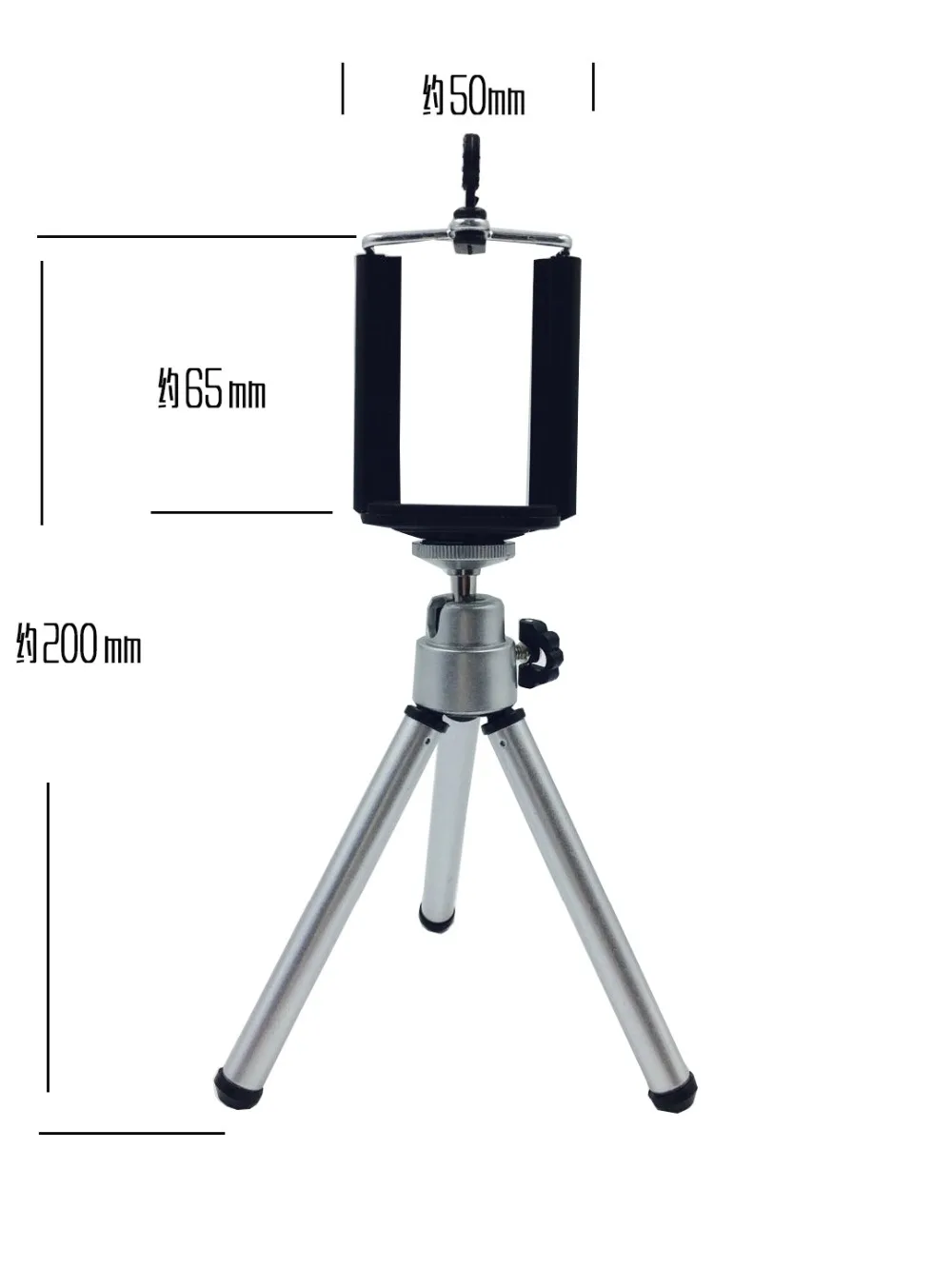 8589591050_682606368