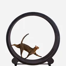 cheap cat wheel