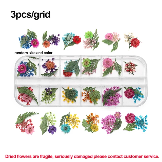 1Box Dried Flowers Dry Plants for Rsein Molds Fillings Epoxy Resin Pendant Tweezers Jewelry Making Craft DIY Nail Art Decoration Style 02