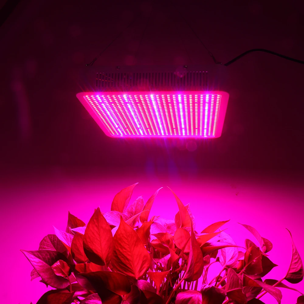 300 W 600 W 800 W 1200 W 1600 W полный спектр светодиодный завод светать лампы для Flower для растений; для овощей гидропоники Системы расти/Bloom палатка