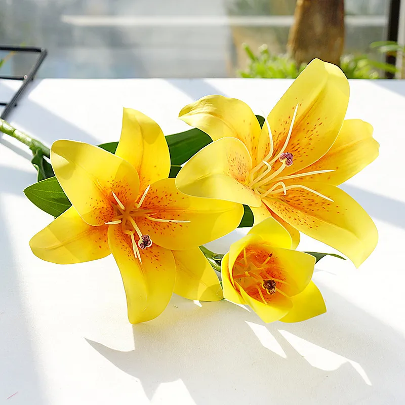 13349021230_874253957