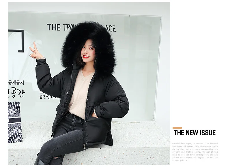 Южная Корея Dongdaemun хлопковое пальто женское короткое зима стиль корейский стиль свободный крой хлопок стеганая одежда короткий рост