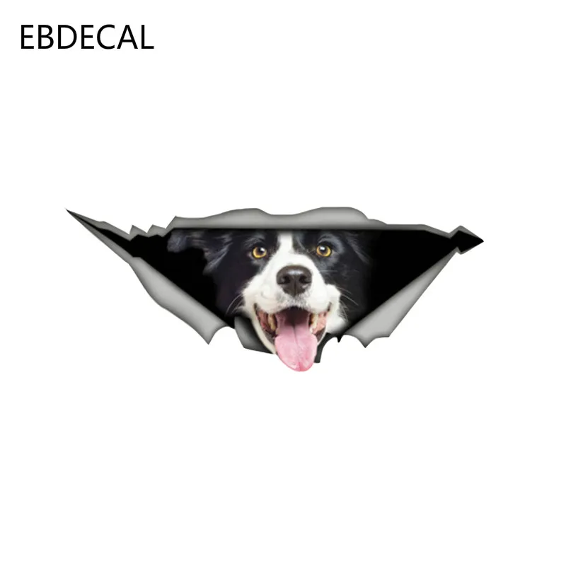 EBdecal Border Collie For Auto Car/Bumper/Window/Wall Decal Sticker Decals DIY Decor CT10956 | Автомобили и мотоциклы