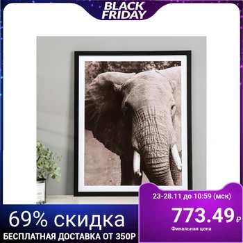 

Plastic poster "Elephant" 40x50 cm 5198444