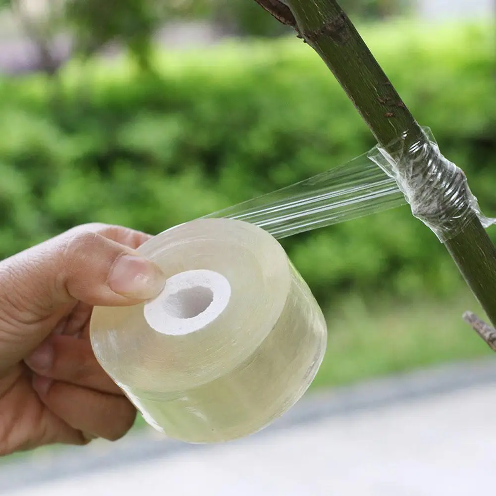 Ruban de greffage 2 cm auto‑adhésif transparent – film extensible pour arbres fruitiers | Leroy Merlin