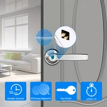 Smart Fingerprint Door Lock Electronic Keyless Entry Door Lock with Mechanical Key unlock for Door Lock Security
