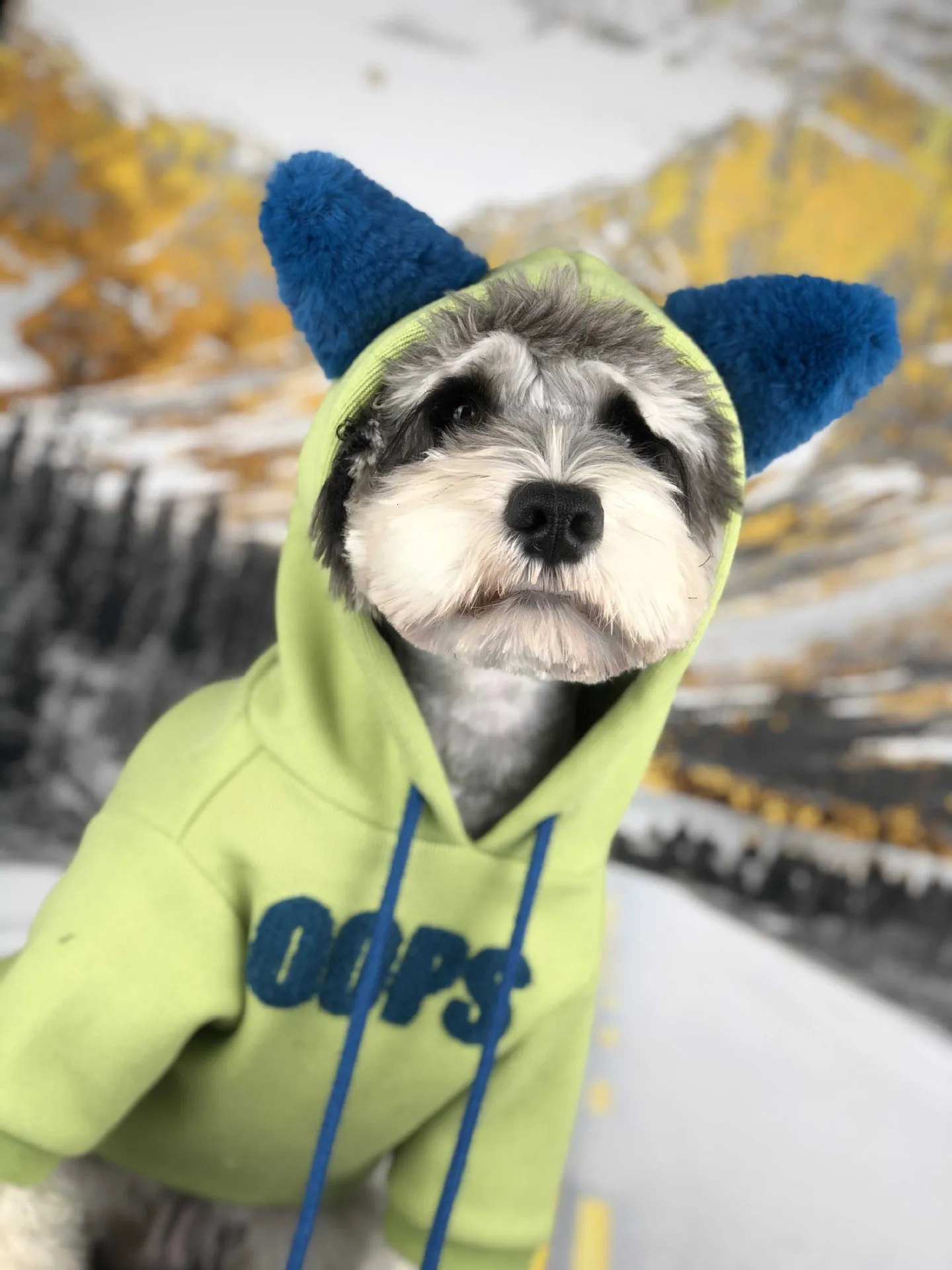 Schnauzer флисовая толстовка с капюшоном для собак, Милая зимняя одежда для собак, теплая верхняя одежда с капюшоном для щенков, флисовый шар для терьера, мопса, Тедди, дропшиппинг