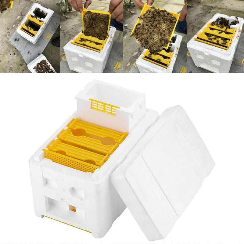 Мед пчелиный улей Авто улей рамки комплект для пчеловода Pollination Box оборудования 1 шт