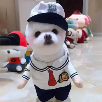 

European American Pet Clothes For Dogs And Cats Funny Halloween Transformation Dress Upright Clothes Teddy Sailor