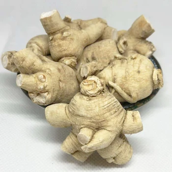 

American ginseng grain head Changbai Mountain 8-year-old root large grain authentic American ginseng Whole