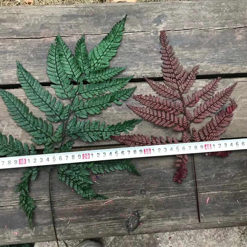 QQ图片20200210203248