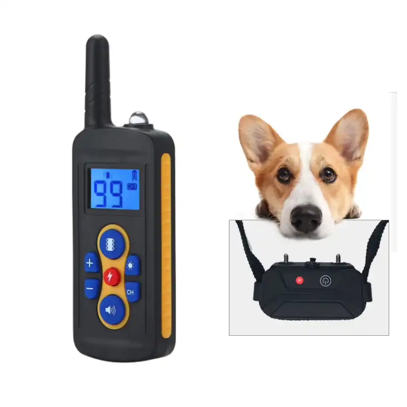 invisible fence training collar