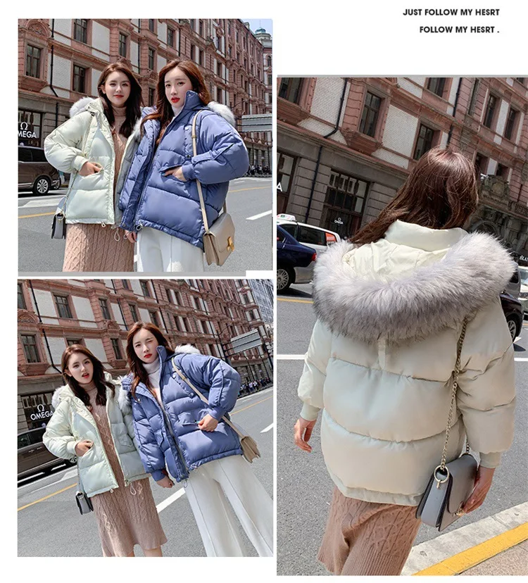 11577991580_756261667
