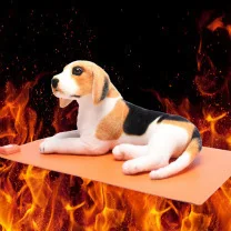 

110 V-220 V Manufacturers Direct Selling Heating Kennel Waterproof Heating Pad Pet Preserving Heating Pad Electric Blanket Pad G