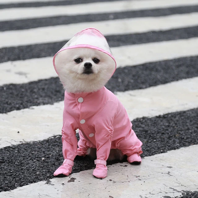 Dog Raincoat 4-Legged Waterproof Pet Clothing with Boots Overalls Jumpsuit For Small Dogs Clothes Rainy Transparent Puppy Hooded 5
