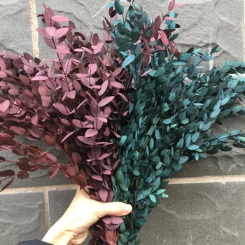 

Dried flowers 100g/37cm Preserved Nature Fine Leaf Eucalyptus ,DIY Wedding Favor Marriage flower Bouquet,Home Gift Box Decor