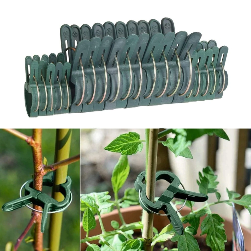 60PCS Plant Support Clips Flower And Vine Clips Garden Tomato Plant Support US 