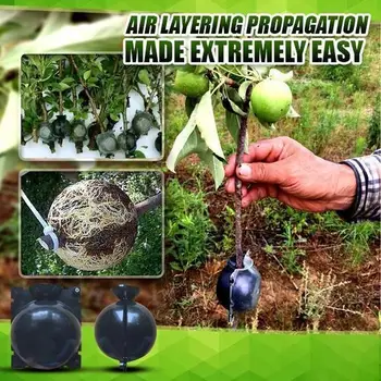 

New 5pcs Plant Rooting Ball Plant Root Growing Box Grafting Rooting Growing Box Breeding Case For Garden 5/8/12cm In Diameter