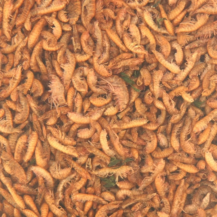 

Food for fish and turtles "Plankton-South" Gammarus, carcass, 5 l, 500 g