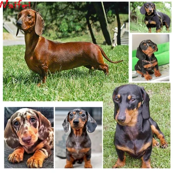 

Diy 5d diamond painting Dachshund rhinestones full square drill diamond embroidery animal cute Dog cross stitch mosaic pattern