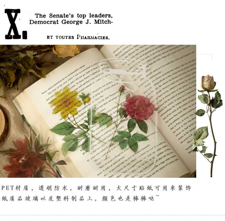 植物研究所贴纸包_09