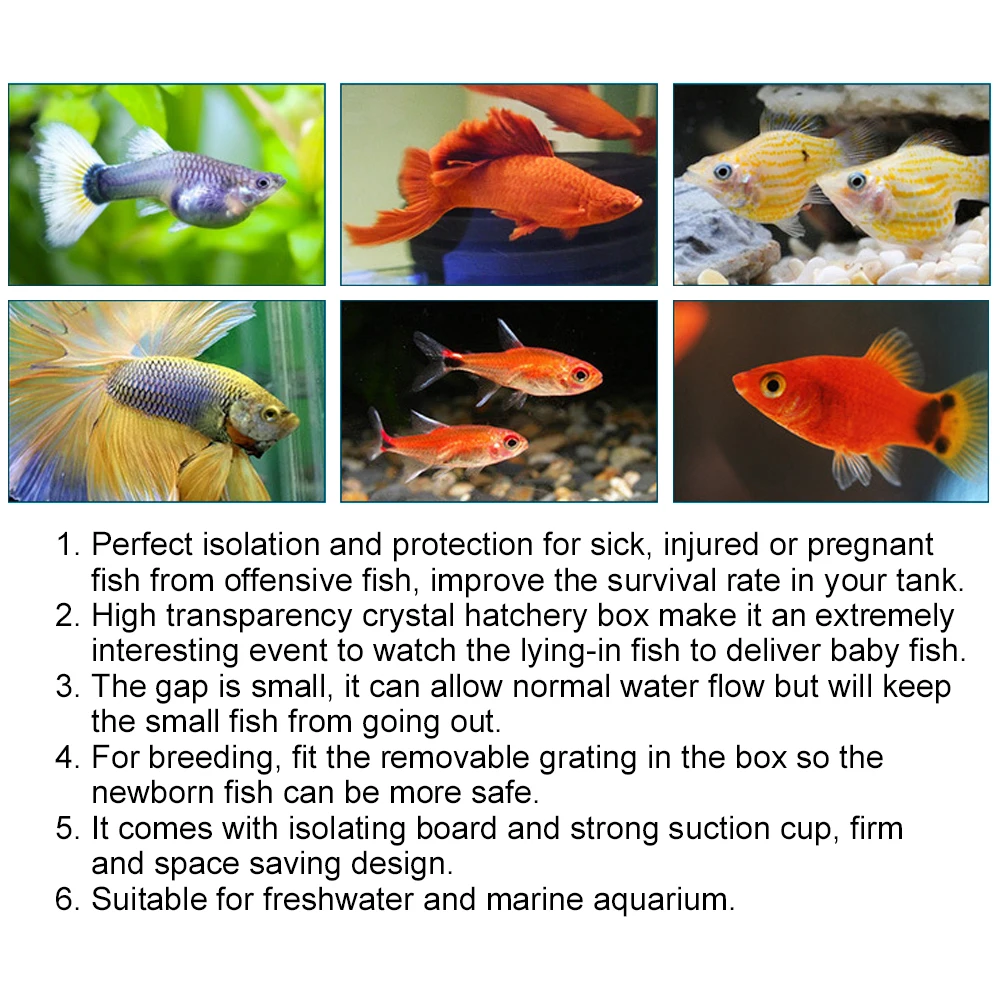 Behogar прозрачный акриловый аквариум селекционная изоляционная коробка держатель для аквариума инкубатор присоски 20x10x10 см