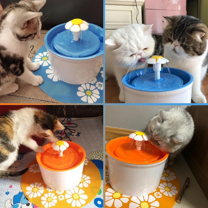 HTB1g1DIysyYBuNkSnfoq6AWgVXa7