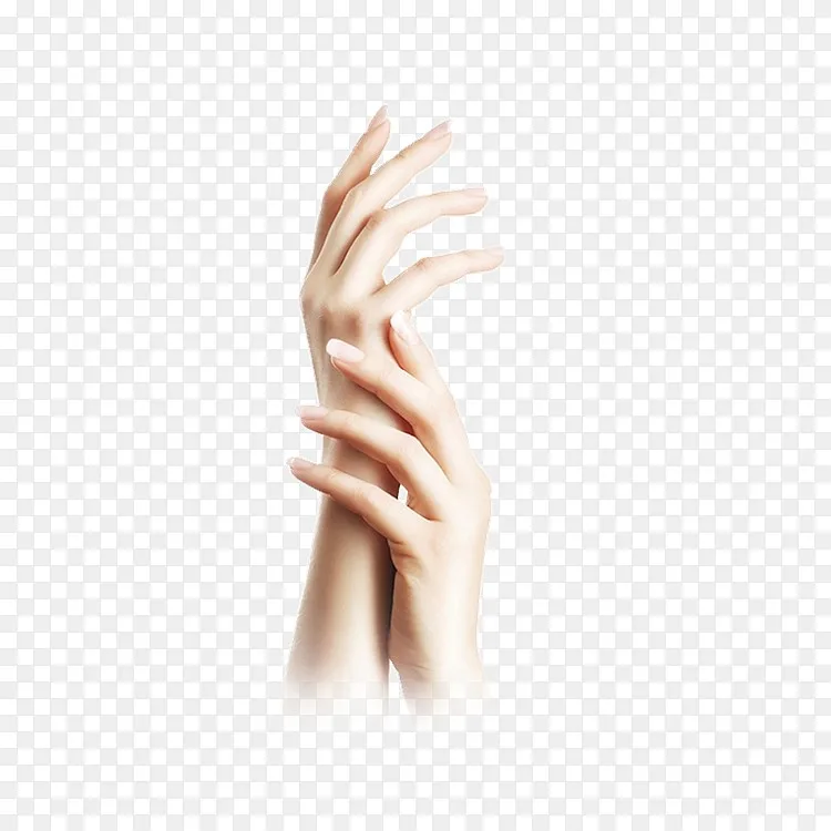 女人手透明png图片素材免费下载 图片编号yxobdpdl Pngbag素材网 女人手透明png图片素材免费下载 图片编号yxobdpdl Pngbag素材网
