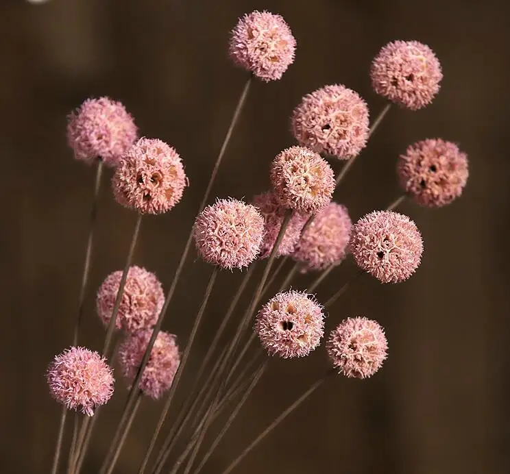 QQ20181104210523