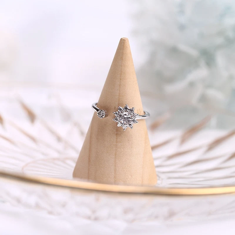 10790121153_1137581325