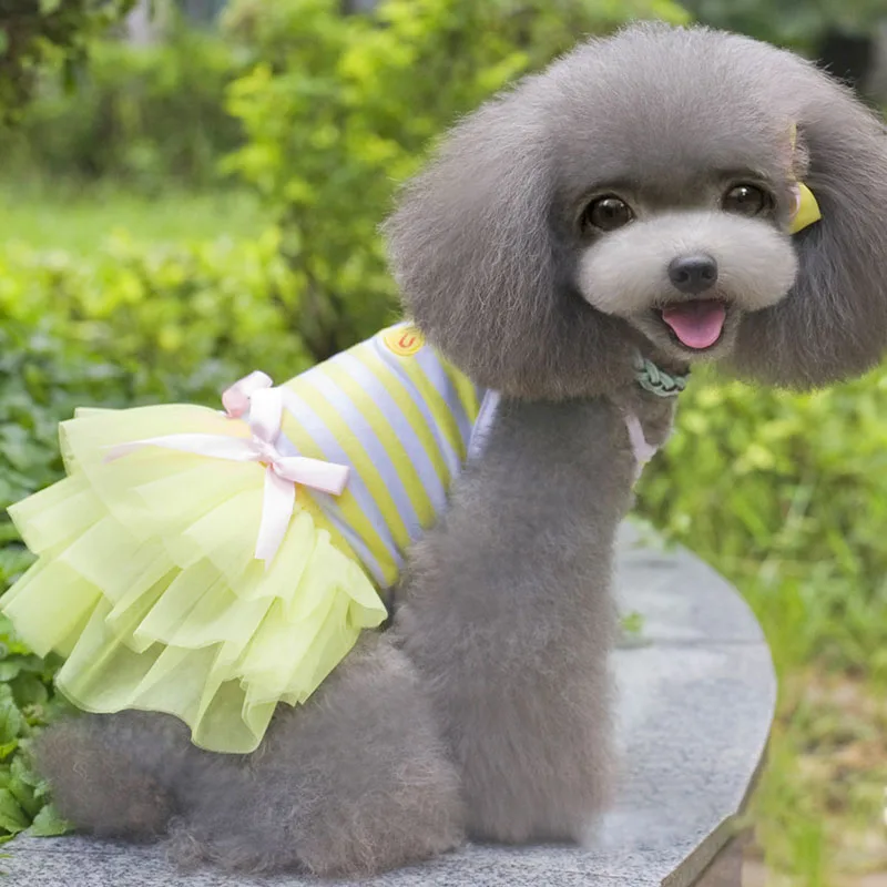 Chicken Dress Striped Yellow Pink Red Dog Harness Dress Spring/Summer Cotton Dog Clothes Dress Pet Dog Clothes Dog Clothes