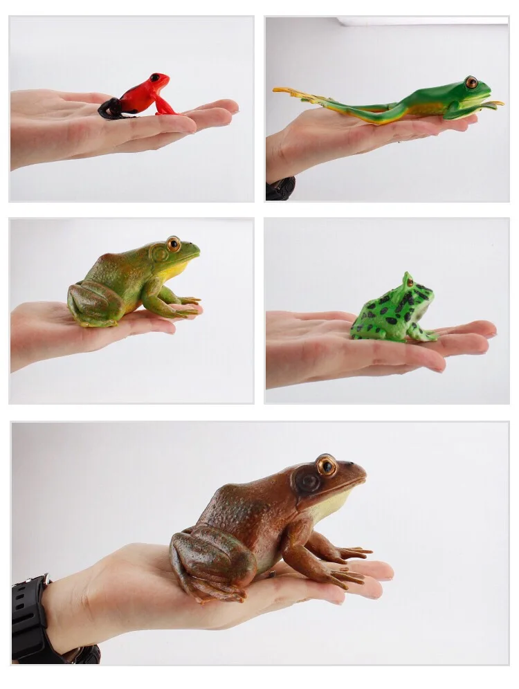 IMG_8120(20200801-160810)