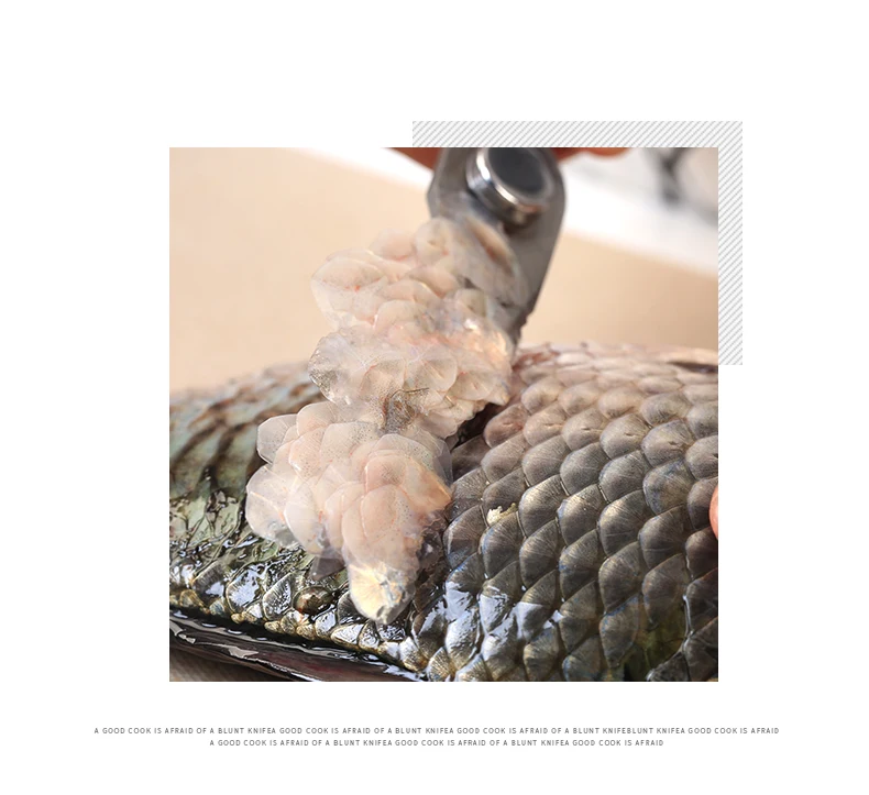 瑞锋多功能剪刀_10