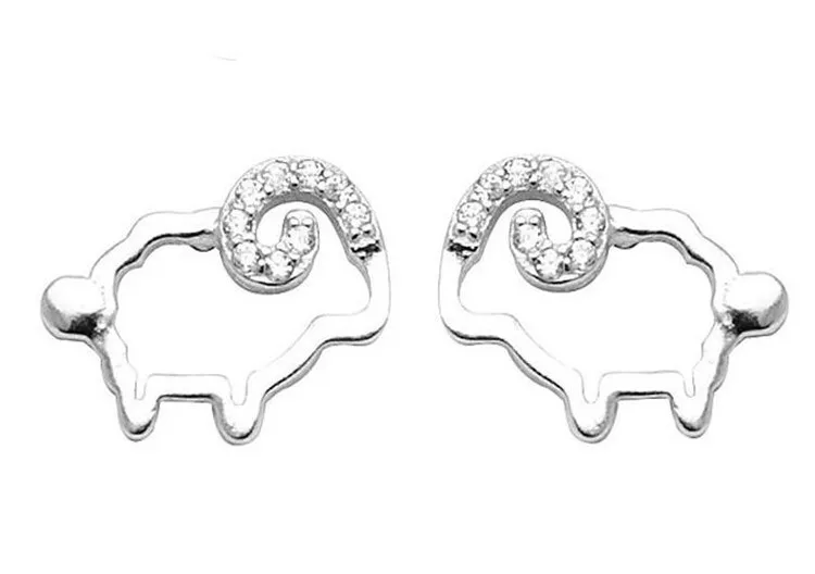 9564516371_1966409281