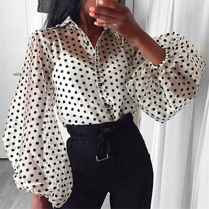 

Women Lace Mesh Sheer See-through Blouse Long Sleeve Tops Shirts Polka Dot Printed Puff Sleeve Button Up Blouse Perspective Top