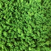 25g sample 3-5mm Coarse Ground Foam,model tree foliage,scale model building materials miniature tree models DIY hademade layout ► Photo 2/5