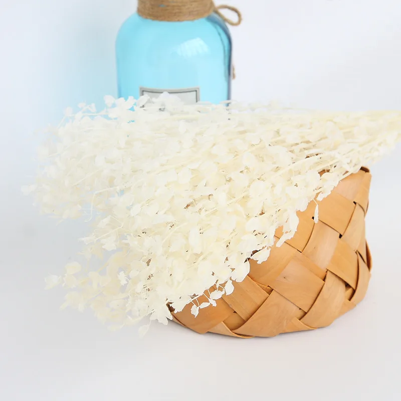 Natural Dried Flower Green Fan Leaf White PInk Yellow Real Plant Grass DIY Wedding Party Home Decoration Table Accessories | Дом и сад