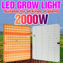 

Plant Light LED Full Spectrum 220V LED Phyto Lamp 2835 Plant Grow Bulb LED Greenhouse Hydroponic Planting Fitolamp 2000W 3000W