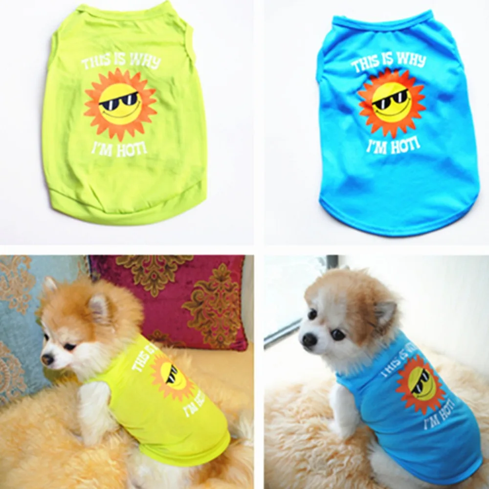 10532688752_361259826