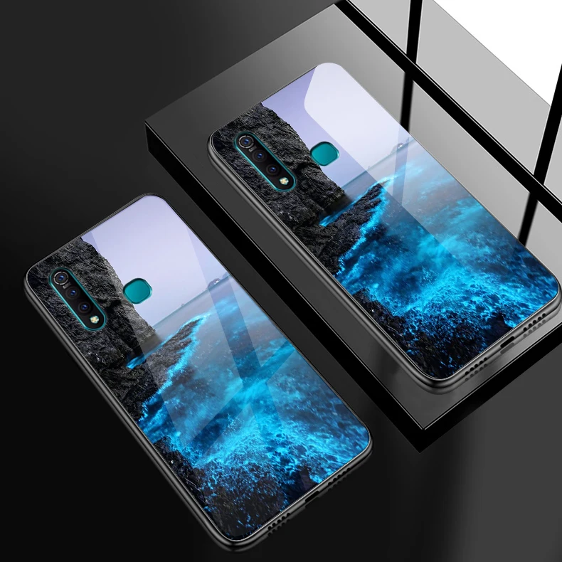 Чехол из закаленного стекла для Vivo S1 Pro Z5X IQOO NEX как роскошный чехол для телефона Xiaomi Redmi 5A 6A S2 GO Plus полный защитный чехол - Цвет: H116